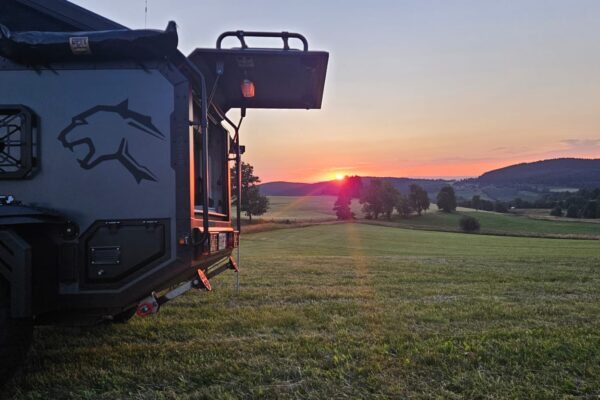 d65aa911-bcb1-419b-8fcd-3715bb98370b